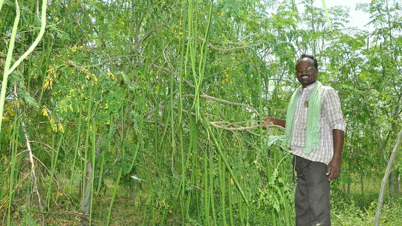 లాభాల మునగ!