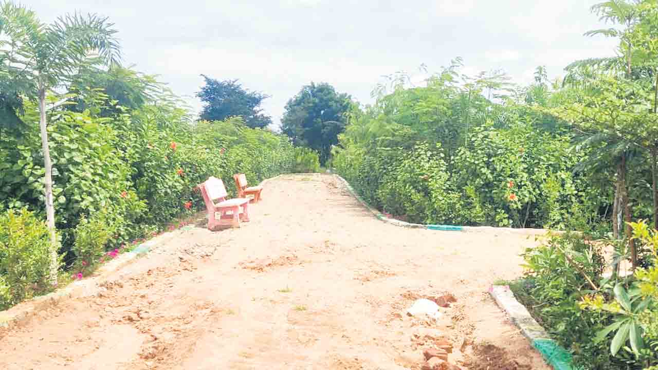 చిట్టడవుల్లా బృహత్‌ వనాలు