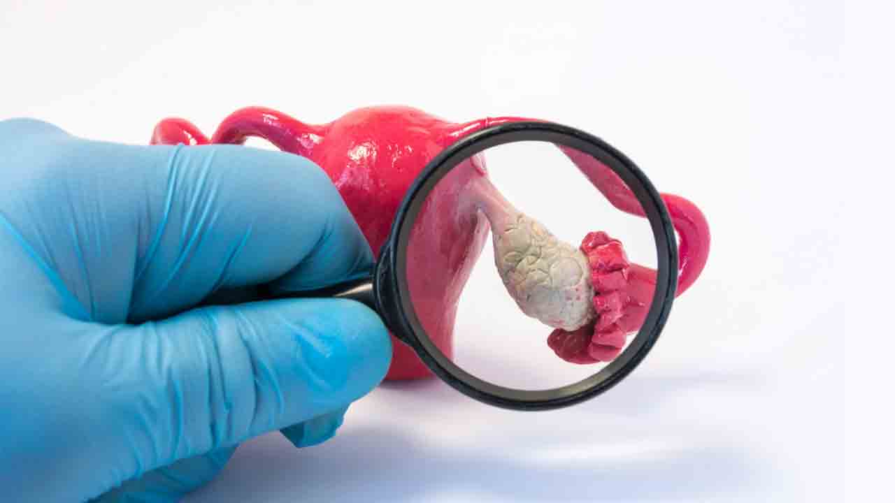 బరువుకొద్దీ.. ప్రొటీన్‌