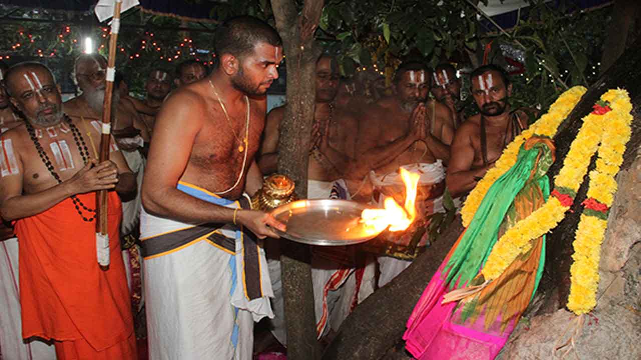 తిరుమలలో ఘ‌నంగా పురుశైవారి తోట ఉత్సవం