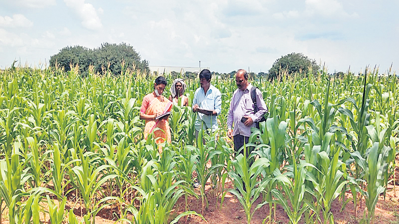 పంట సాగు వివరాలు నమోదు చేసుకోవాలి