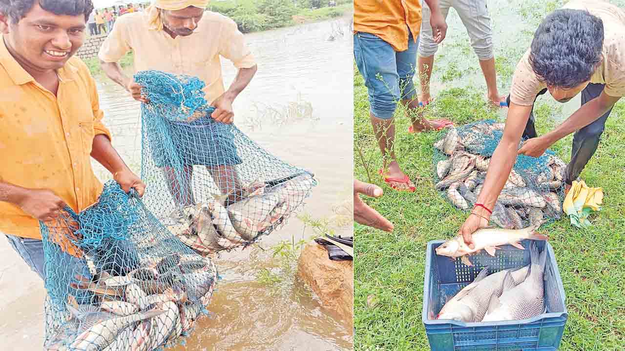 సిరులు కురిపిస్తున్న చేపలు