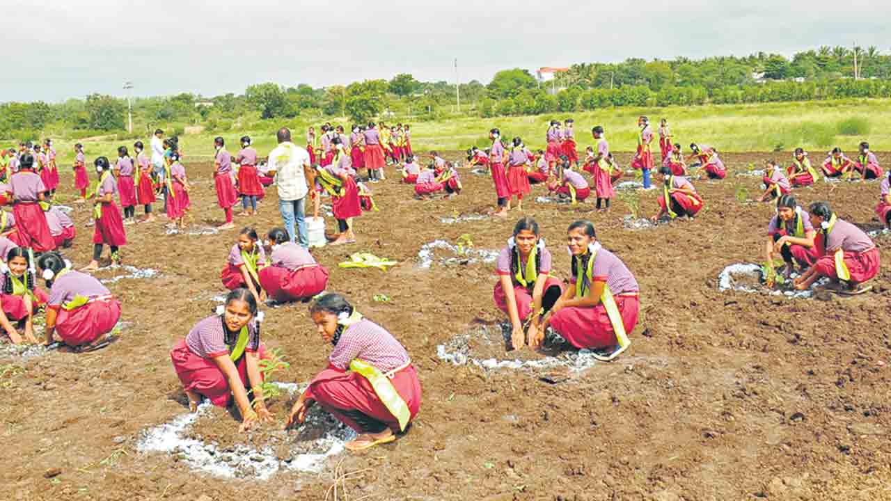 పల్లెపల్లెనా.. పచ్చని పండుగ