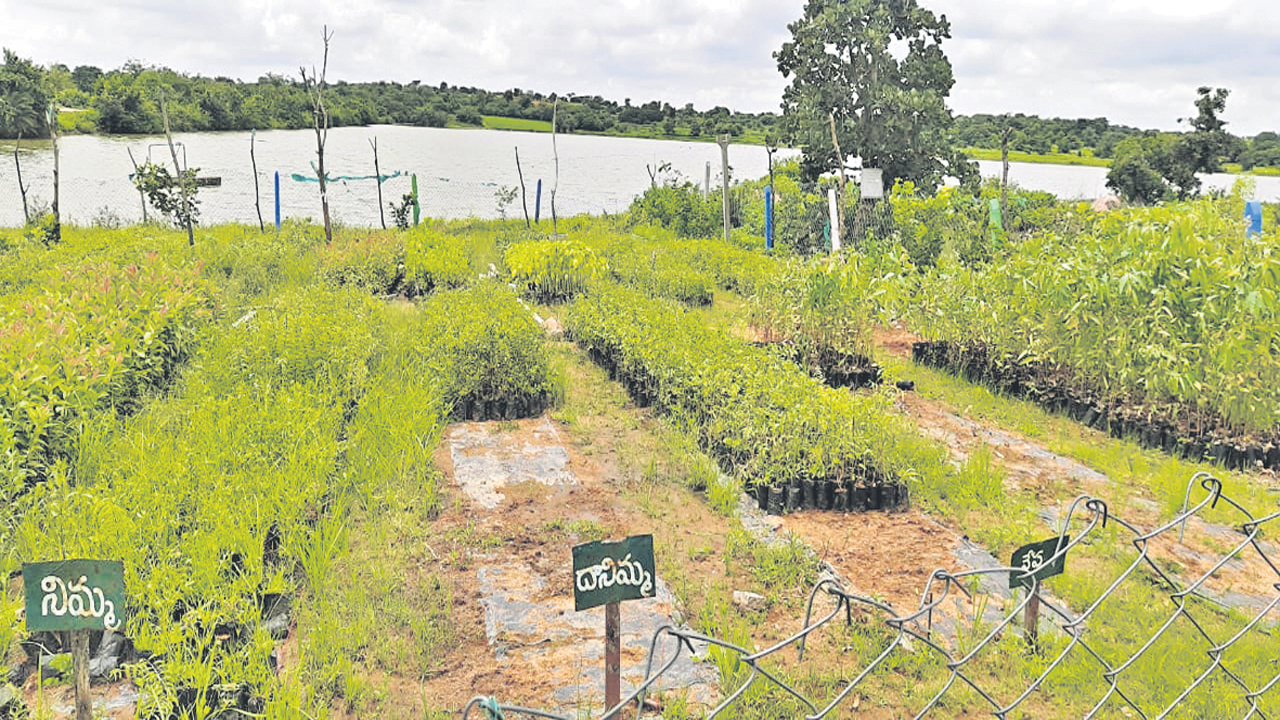 సాల్వీడ్‌ పల్లె.. ప్రగతి ముల్లె..