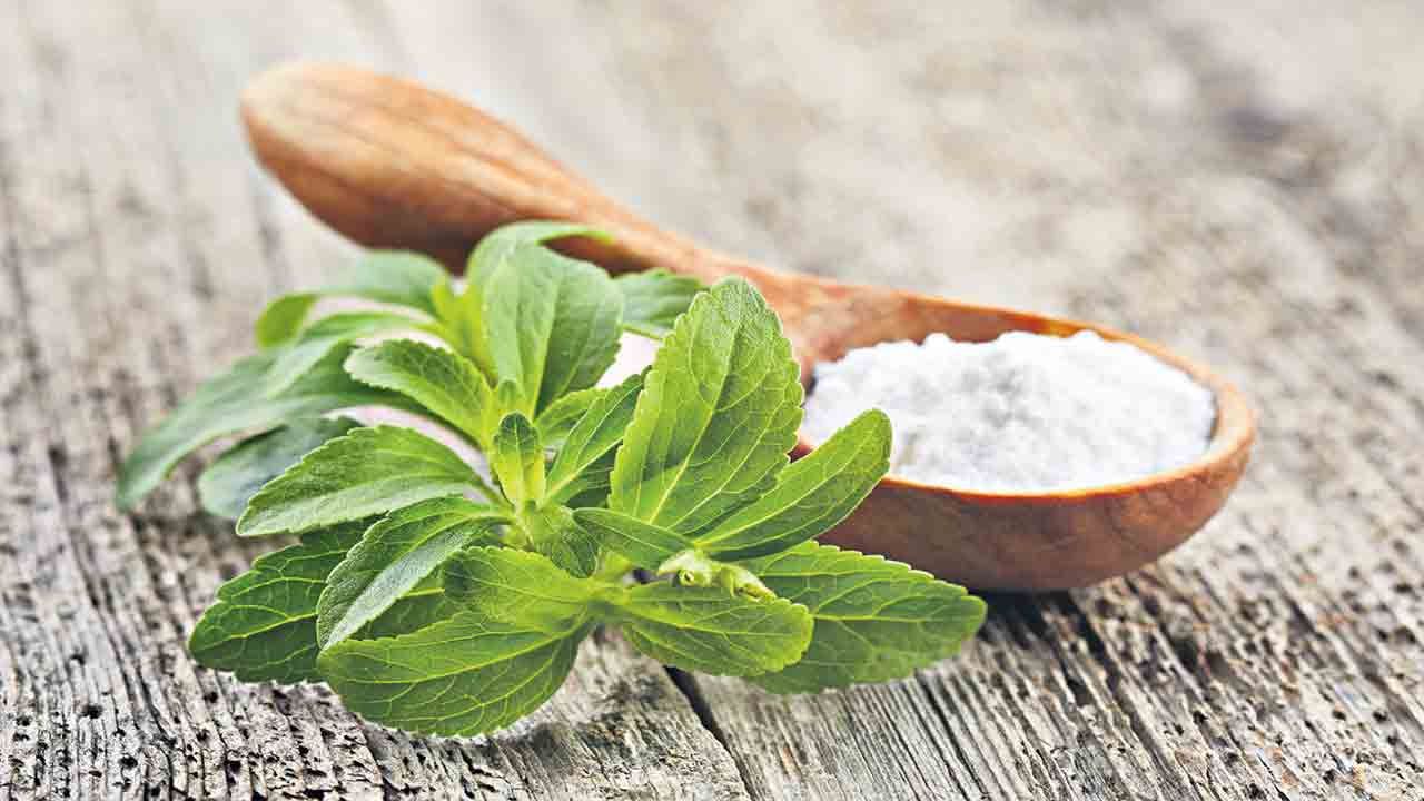 ‘స్టీవియా’ స్వాతి