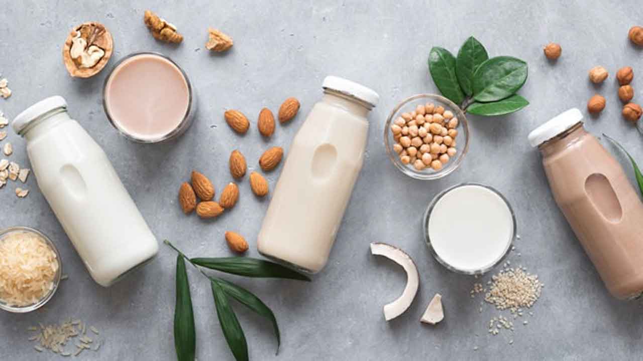 World plant milk day | గేదె పాలకు ప్రత్యామ్నాయం ఈ పాలు.. నేడు వరల్డ్‌ ప్లాంట్‌ మిల్క్‌ డే..!