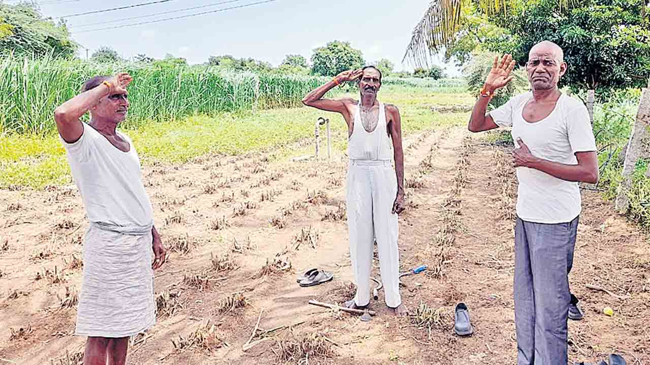 ఉప్పొంగిన దేశభక్తి