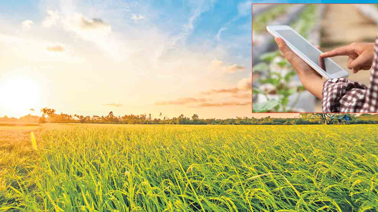 ఇక పంట లెక్క పక్కా..