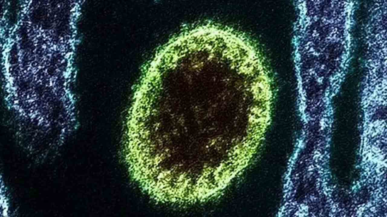 చైనాలో మరో కొత్త వైరస్‌