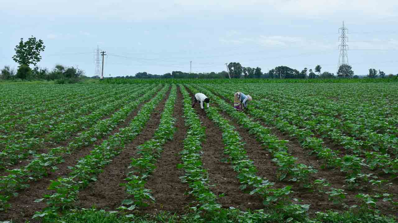 అంచనాకు మించి..
