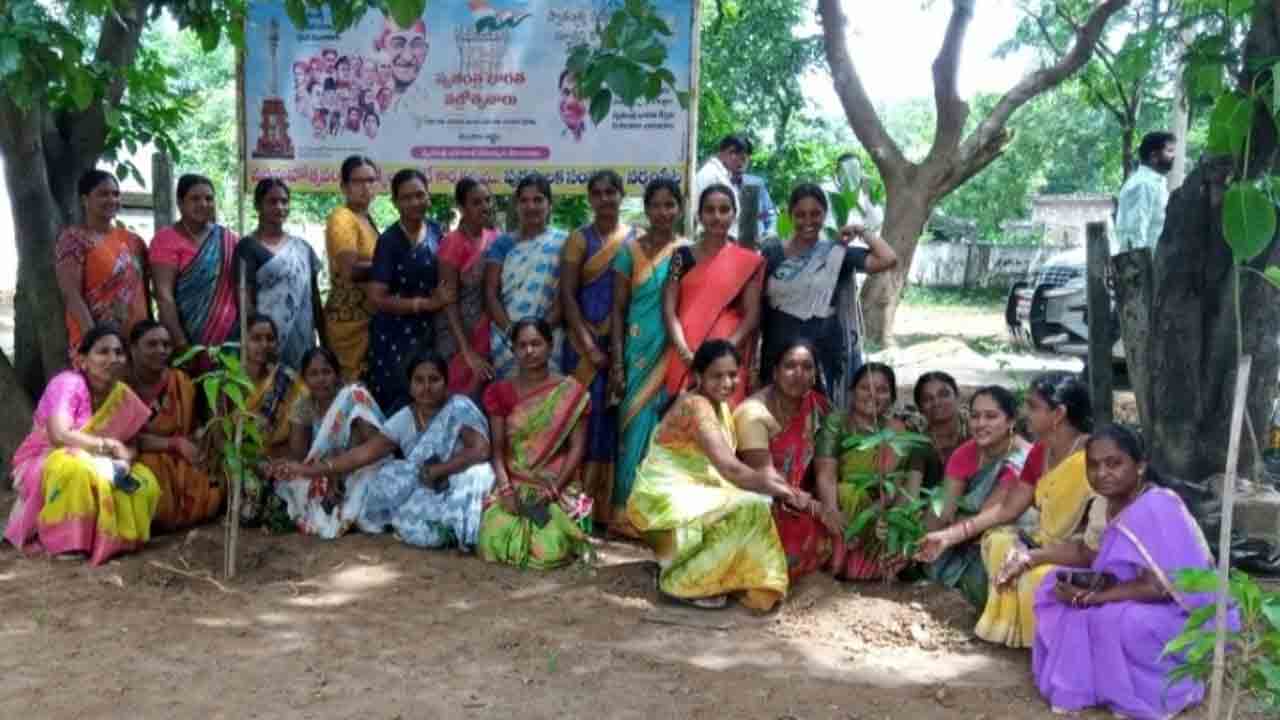 నాటిన ప్రతి మొక్కనూ రక్షించాలి