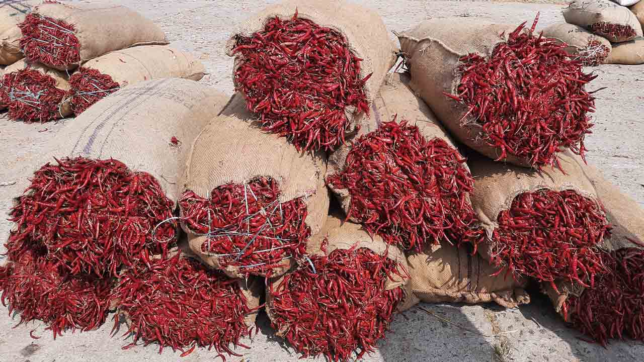 క్వింటాల్‌ మిర్చి రూ.65 వేలు