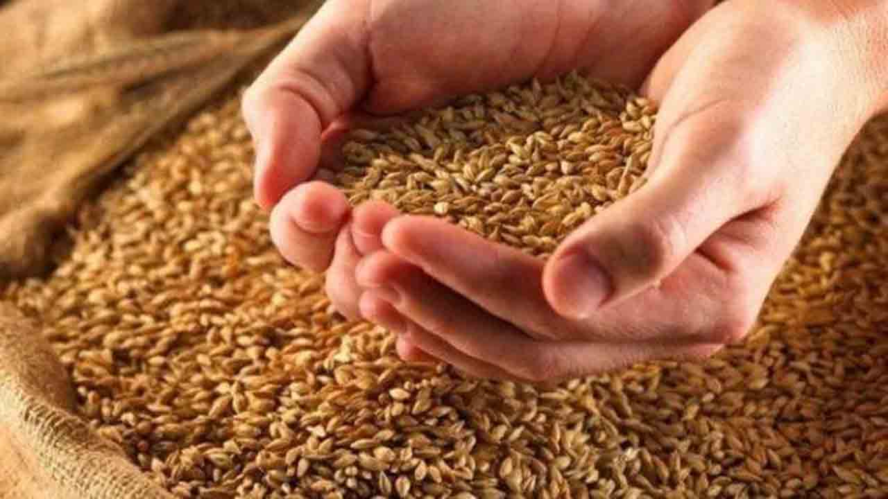 విదేశాల నుంచి గోధుమల దిగుమతిపై కేంద్రం ఏమన్నదంటే..?