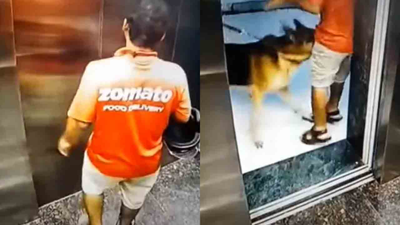 Zomato | జొమాటో డెలివరీ బాయ్‌ని అక్కడ కరిచిన కుక్క