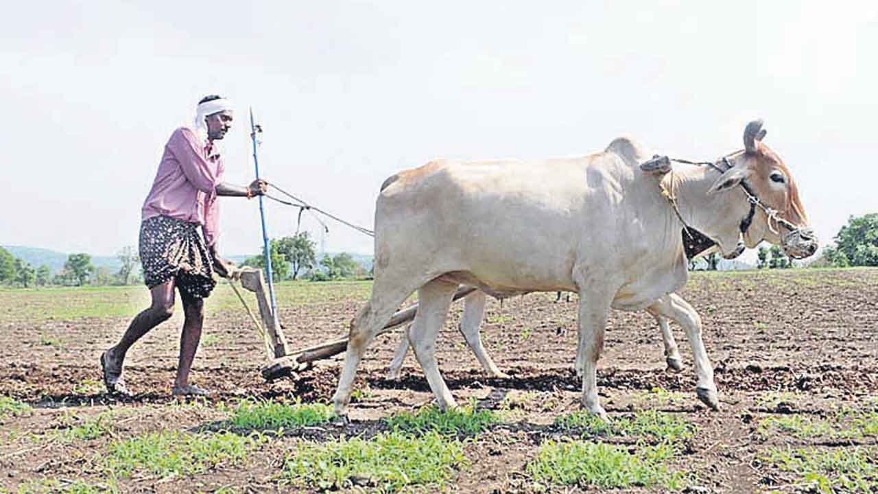 వ్యవ‘సాయం’లో ప్రథమం