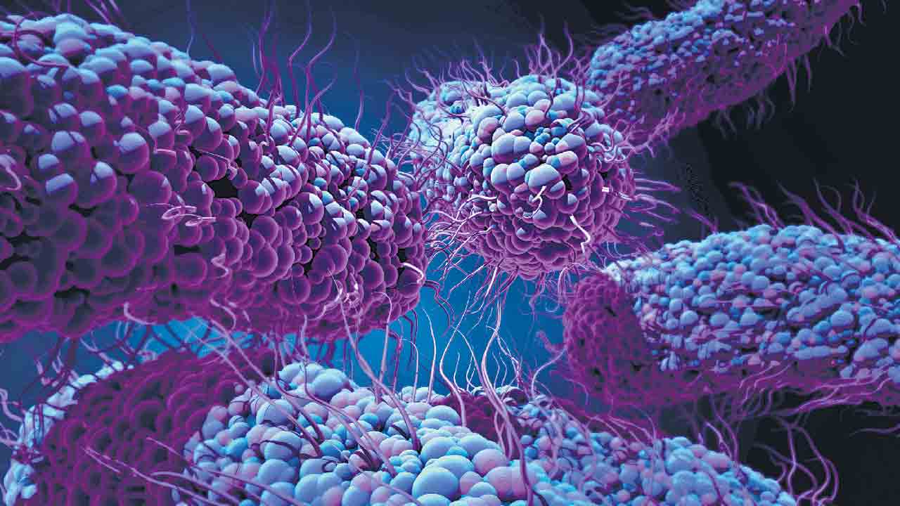 సూక్ష్మ క్రిములను చంపే రక్షణ పూత