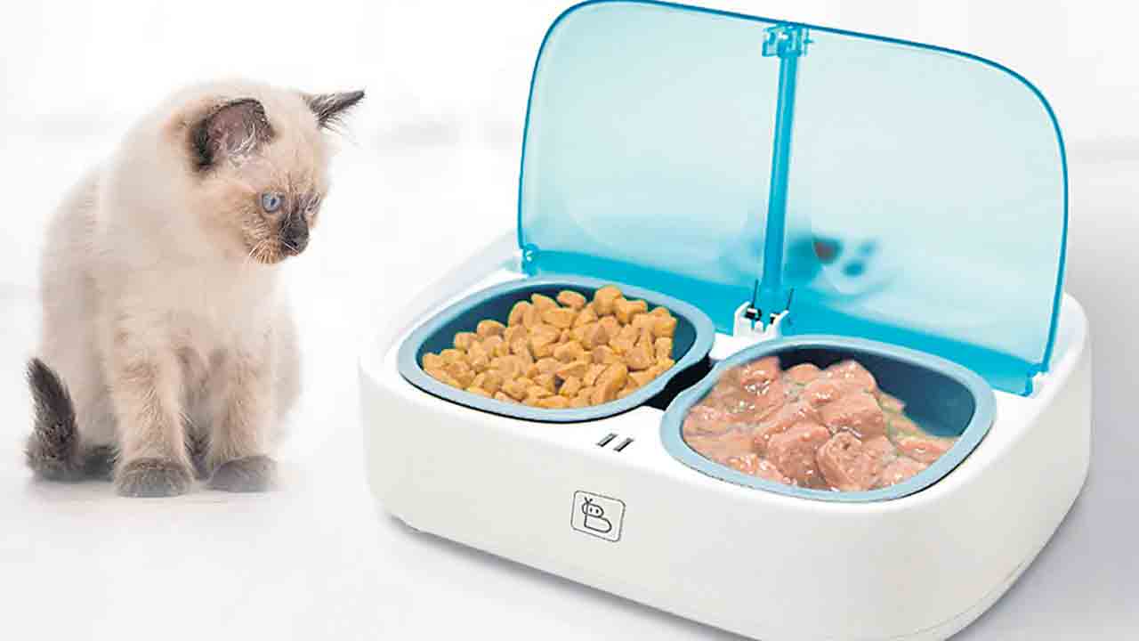 పెట్‌ ఫీడర్‌