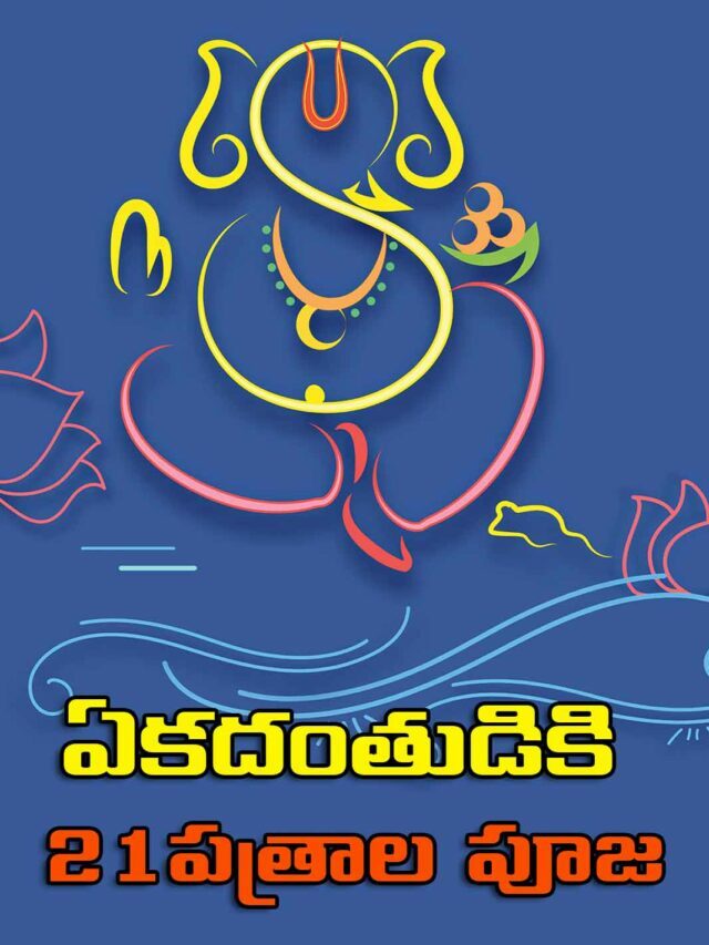 వినాయ‌కుడి పూజ‌కు వాడే ప‌త్రాల‌తో లాభాలివే
