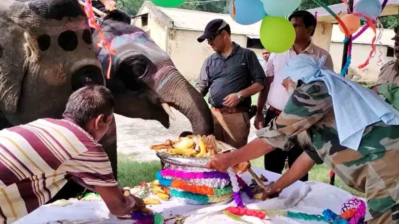 స్పెషల్‌ కేక్‌తో.. ఘనంగా Sawan పుట్టినరోజు వేడుకలు