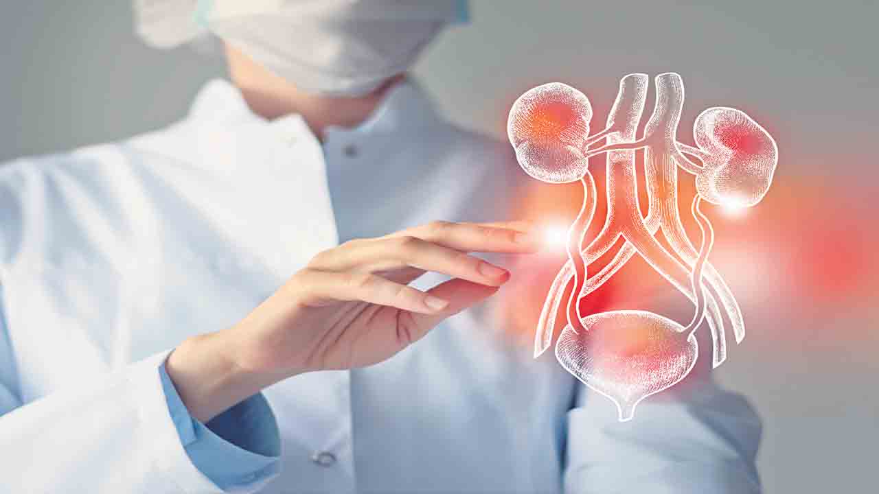 ఫెయిల్యూర్‌ స్టోరీ