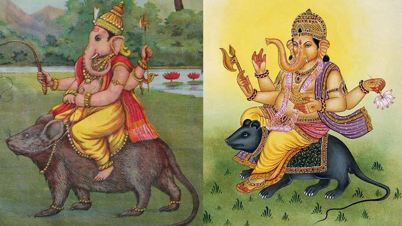 Ganesh Chaturthi 2022 | వినాయ‌కుడి వాహ‌నం అయిన మూషికం గురించి ఈ విష‌యాలు తెలుసా !