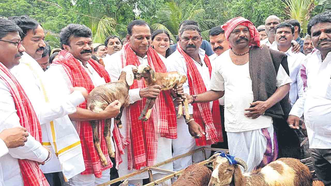 త్వరలోనే 2వ విడత గొర్రెల పంపిణీ