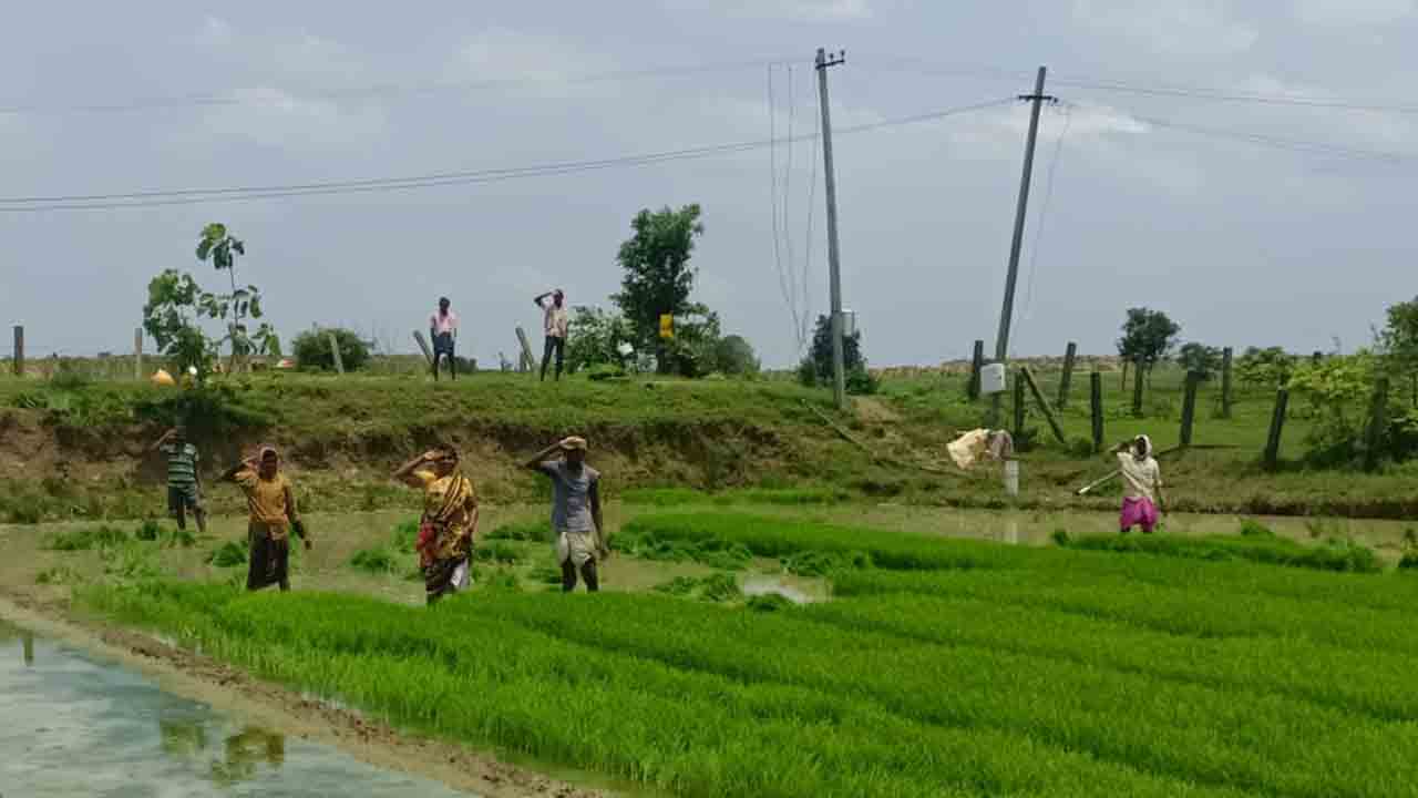 పొలంలో జాతీయ గీతాలాపన..దేశభక్తిన చాటిన మహిళలు