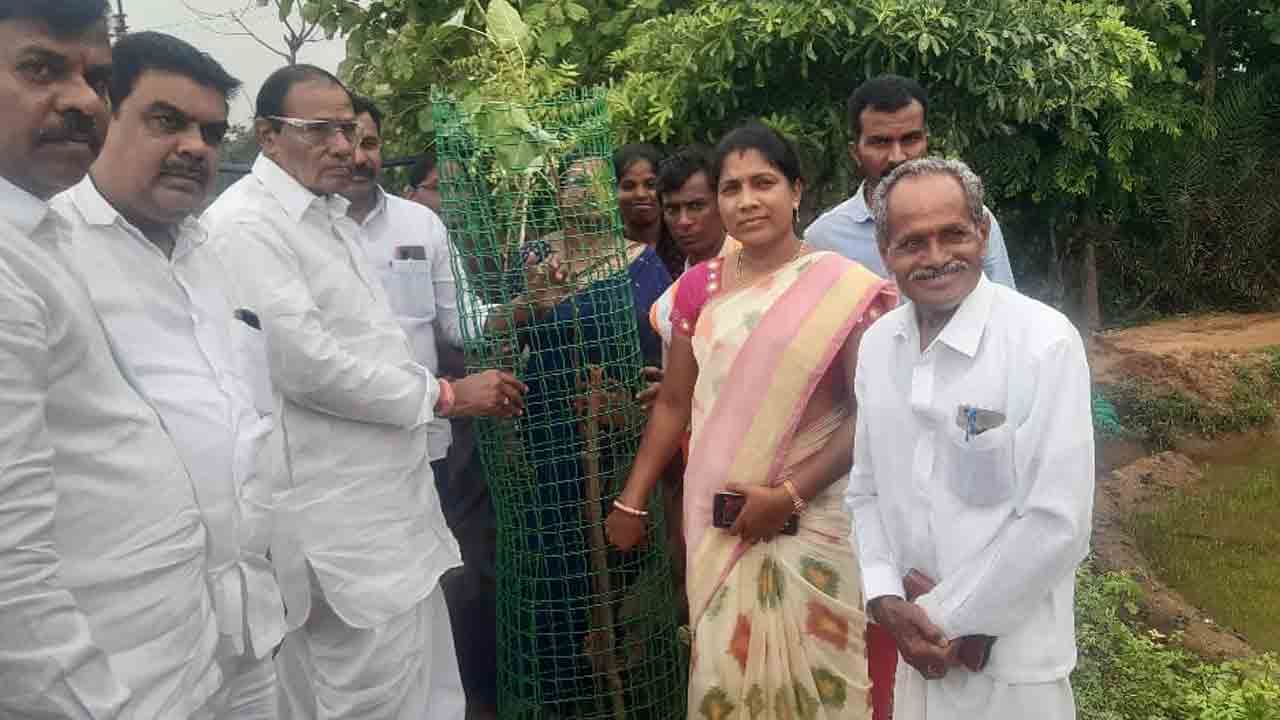 మొక్కలు నాటి సంరక్షించాలి : ఎమ్మెల్యే మదన్‌రెడ్డి