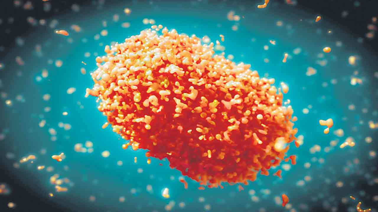 దేశంలో 8కి చేరిన మంకీపాక్స్‌ కేసులు