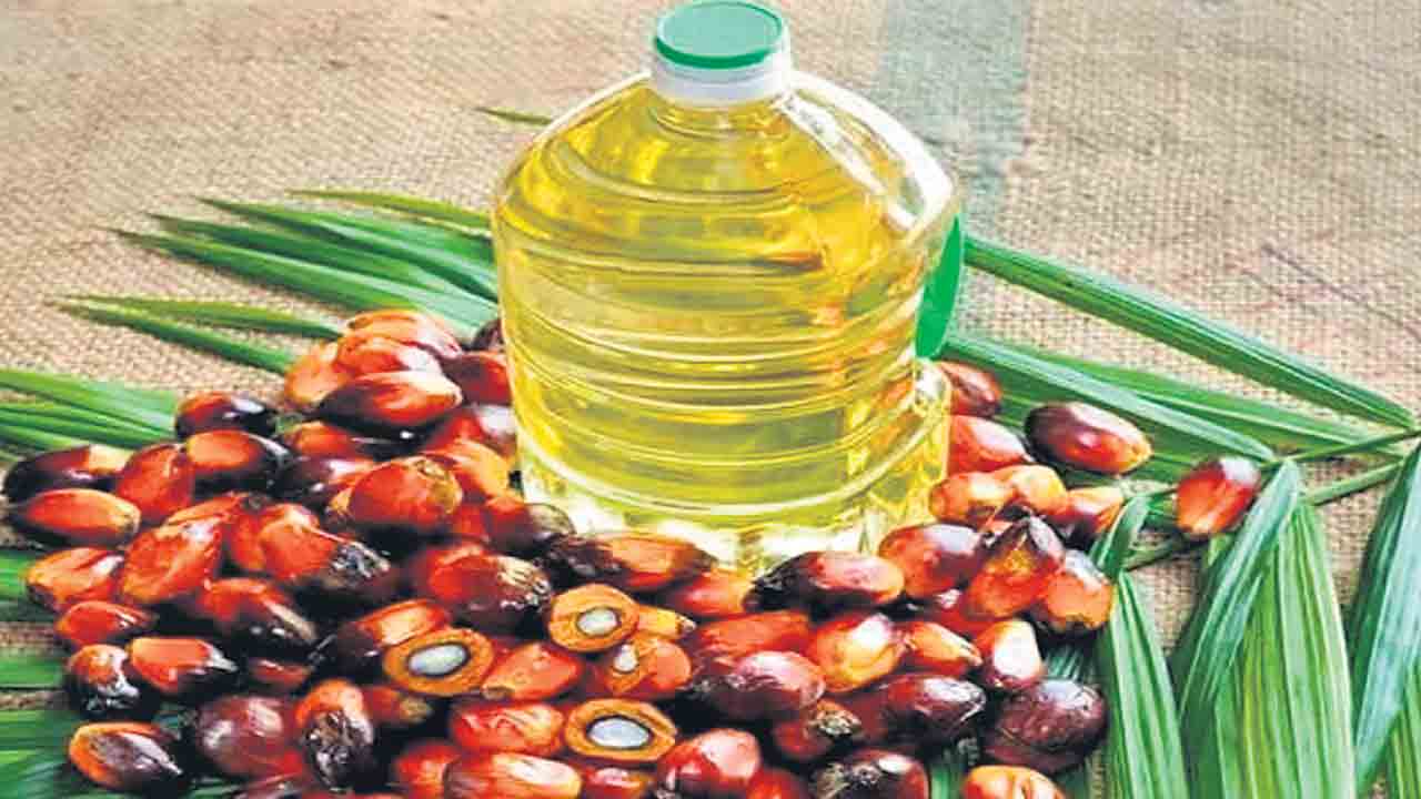 ఆయిల్పామ్ తొలి ఆదాయం 6.6 లక్షలు