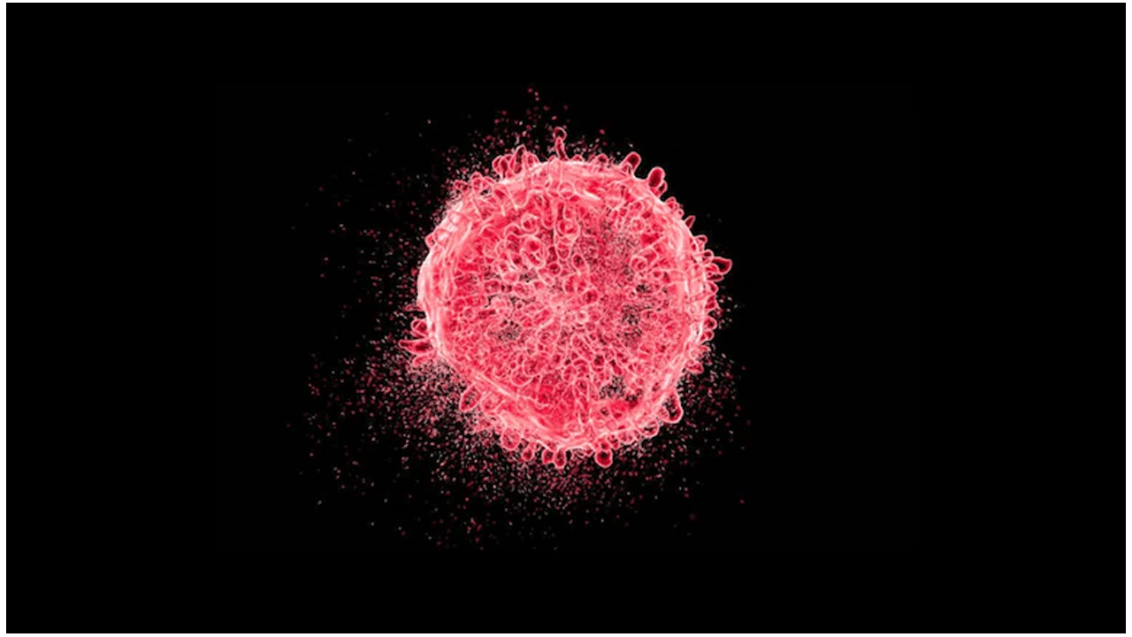 “మ‌ర‌ణానంత‌రం కణ‌జాలం, అవ‌యవాల పున‌రుద్ధ‌ర‌ణ సాధ్య‌మే”