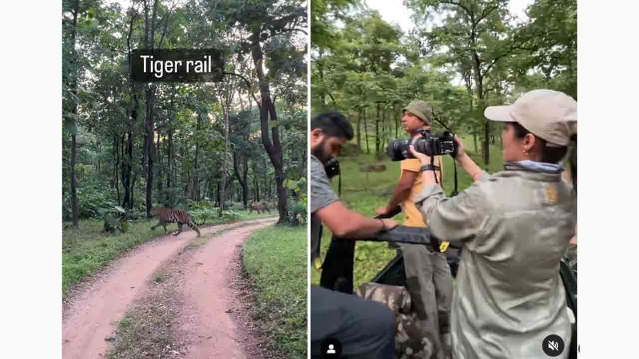 Sadaa | పులుల మ‌ధ్య హీరోయిన్‌ స‌దా షికారు..వీడియో వైర‌ల్