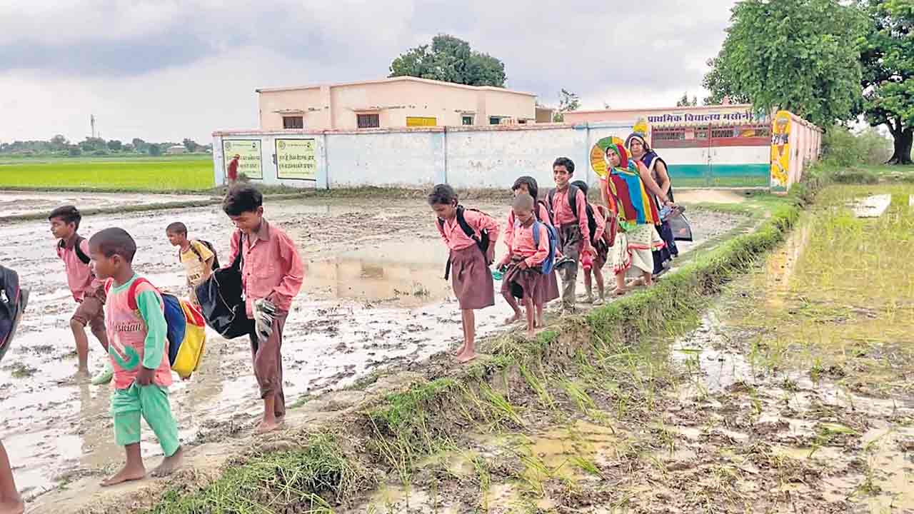 పొలం గట్లే బడికి దారి..