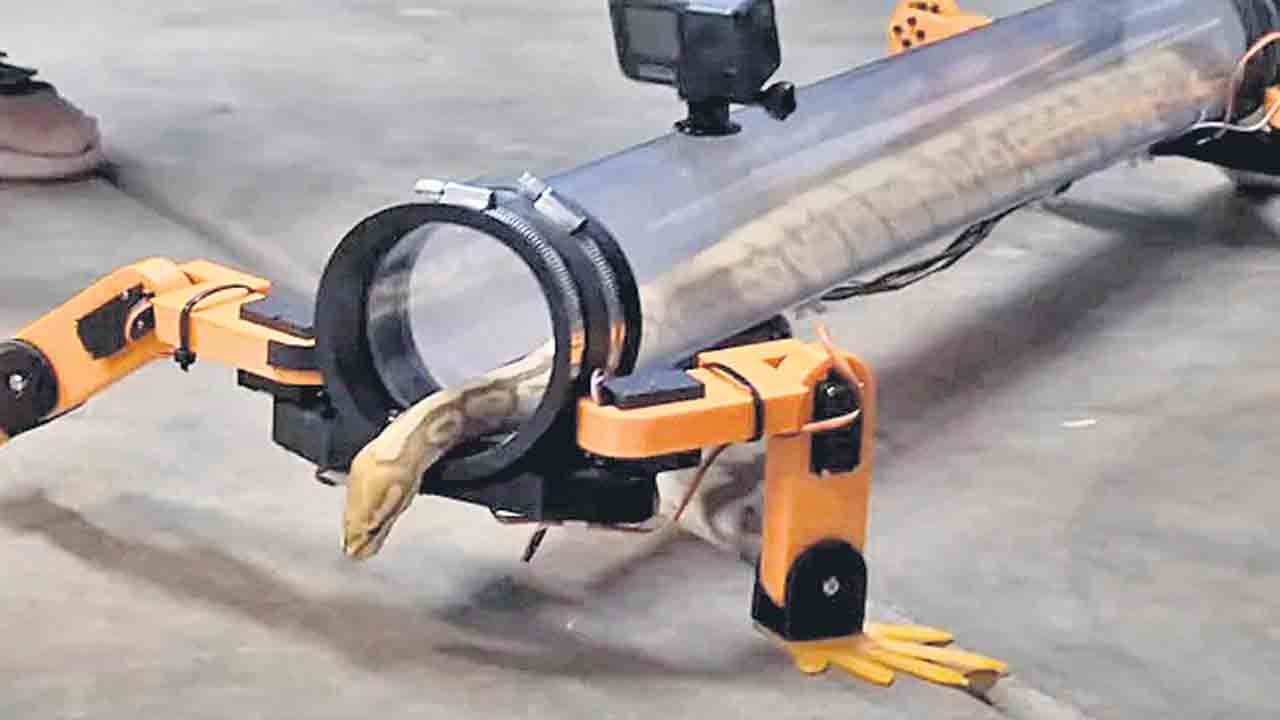 పాముకు రోబో కాళ్లు