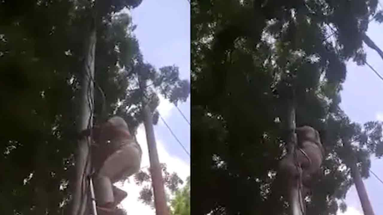 Viral video : నాకే ఫైన్ వేస్తారా..?  పోలీస్ స్టేష‌న్‌ను చీక‌టిమ‌యం చేసిన లైన్‌మెన్‌..!!