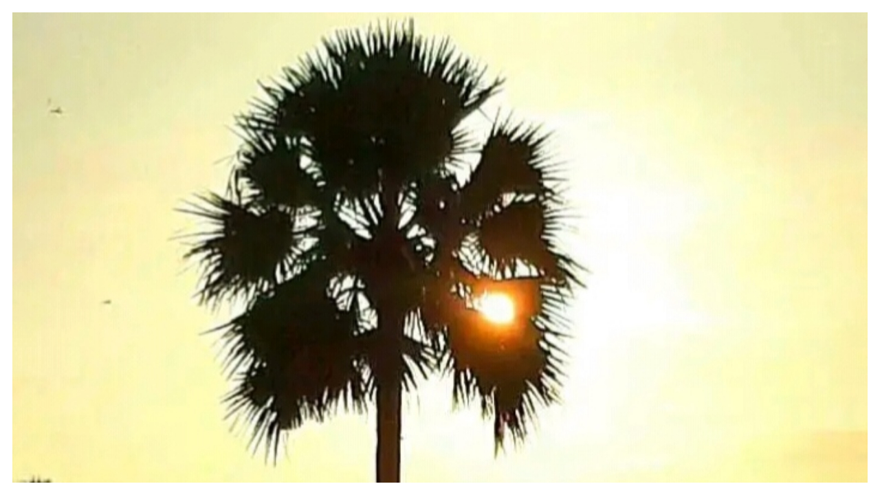 భార్య‌తో వేగ‌లేక నెల‌రోజులుగా తాటిచెట్టుపై మ‌కాం..!