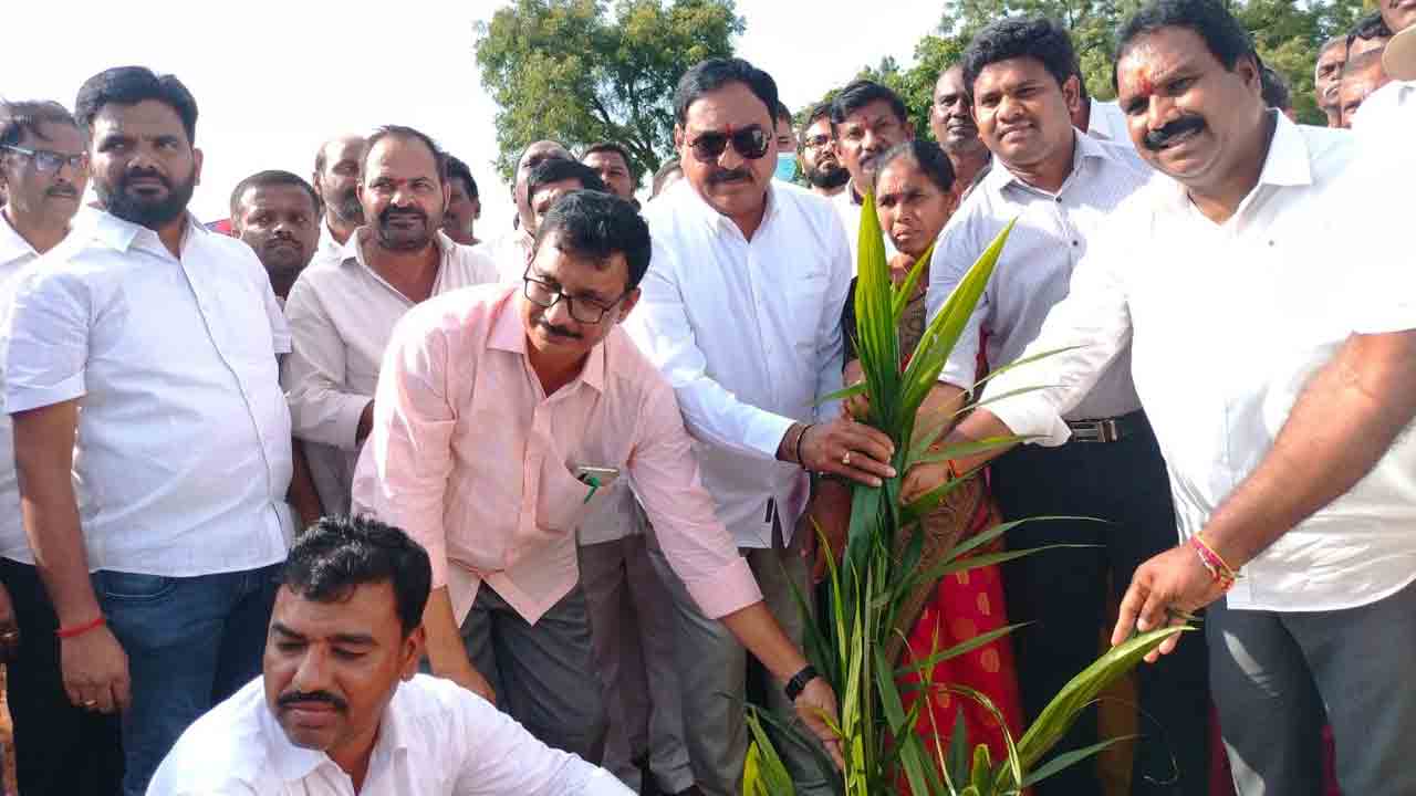 ఆయిల్‌పామ్‌తో అధిక లాభాలు