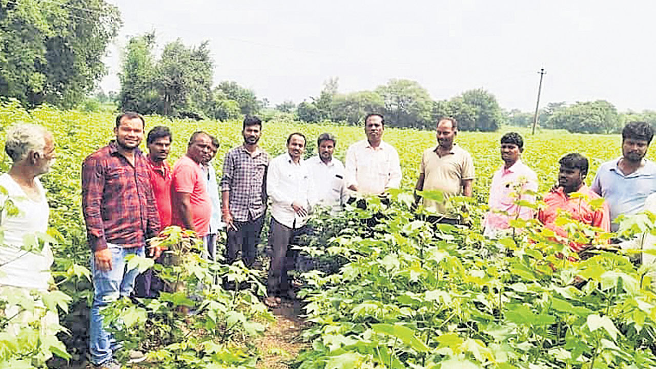 పంటల రక్షణకు జాగ్రత్తలు పాటించాలి