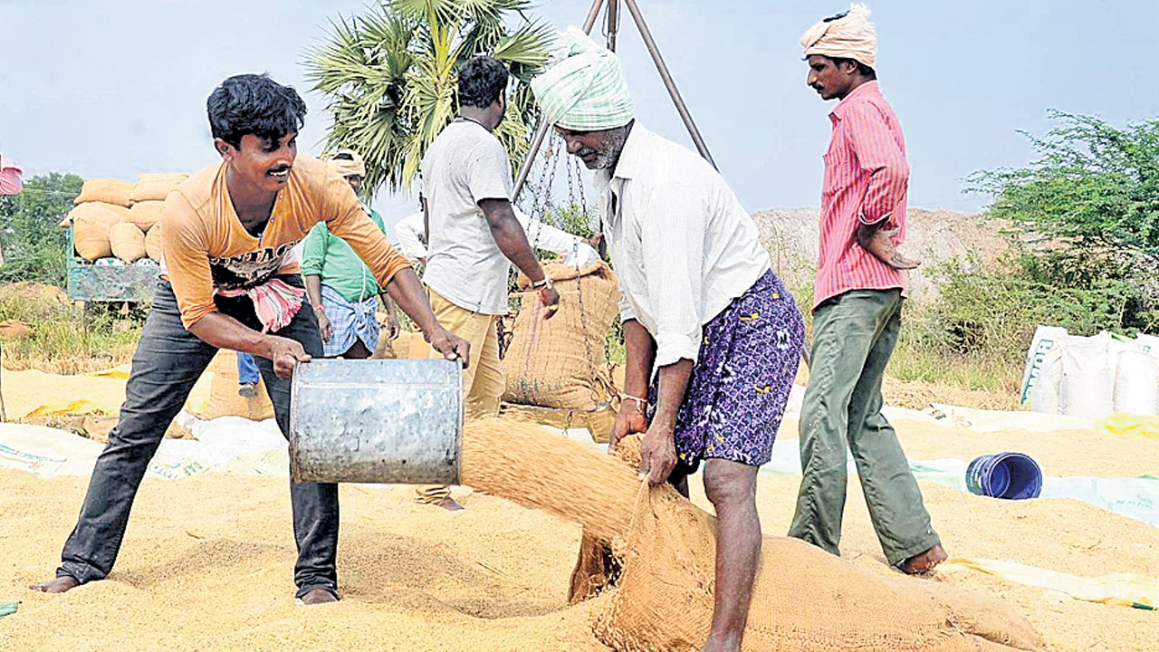ధాన్యం కొనుగోలుకు ప్రణాళికలు