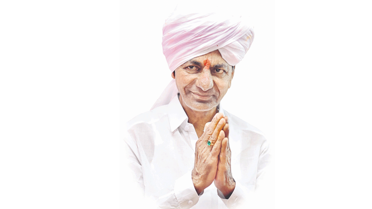 అడవిబిడ్డల ఆనందహేల