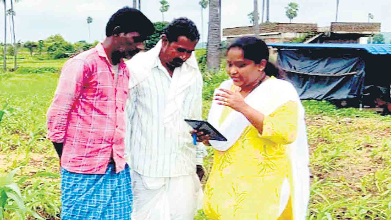 పక్కాగా పంటల లెక్క..
