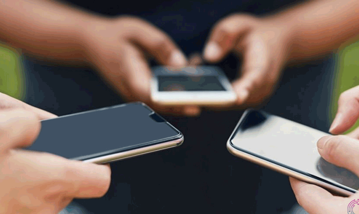 వరిపిలి కోత