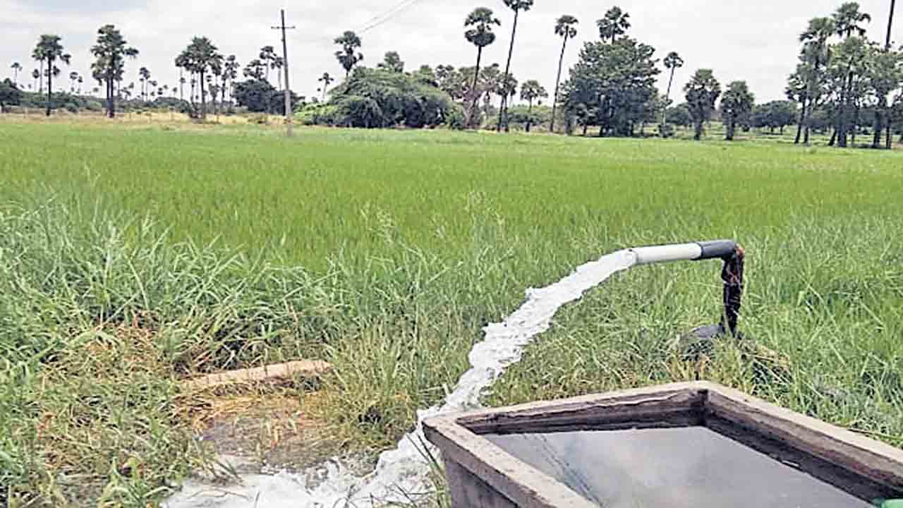 భూసార పరీక్షలకు అనుగుణంగా ఎరువులు వాడాలి