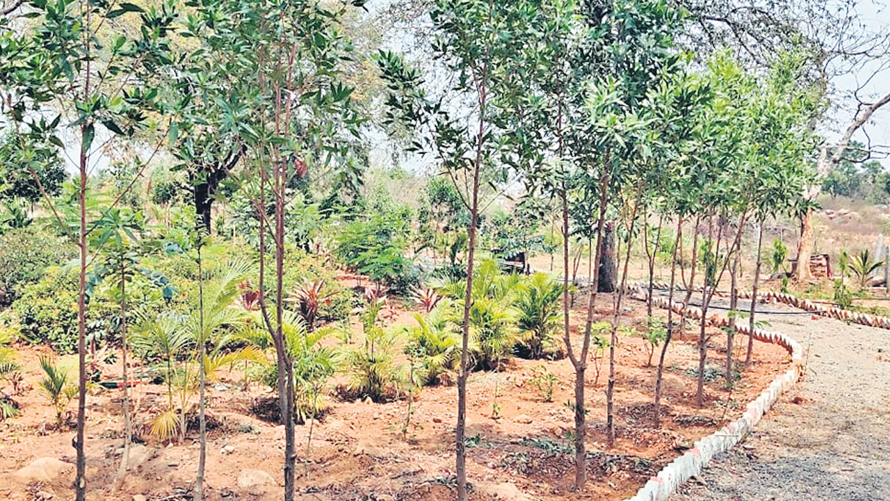 ప్రశాంతత.. పచ్చదనం..