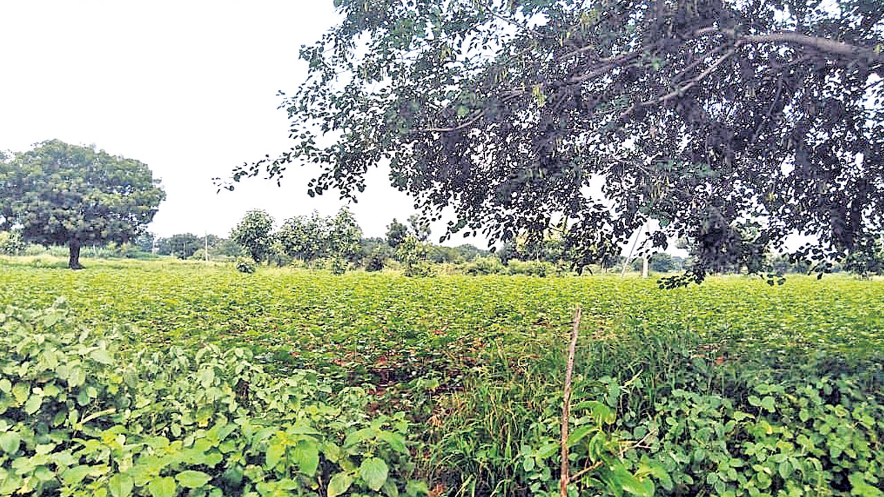 తేమతో జాగ్రత్త