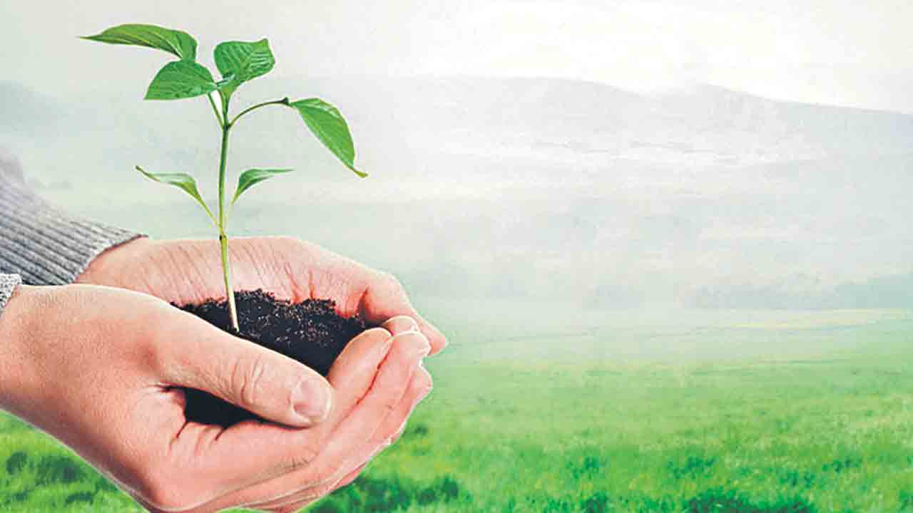 రంగారెడ్డి జిల్లాలో హరితహారం విజయవంతం