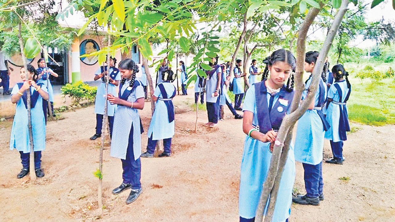 ప్రకృతి ఒడి.. సర్కారు బడి!