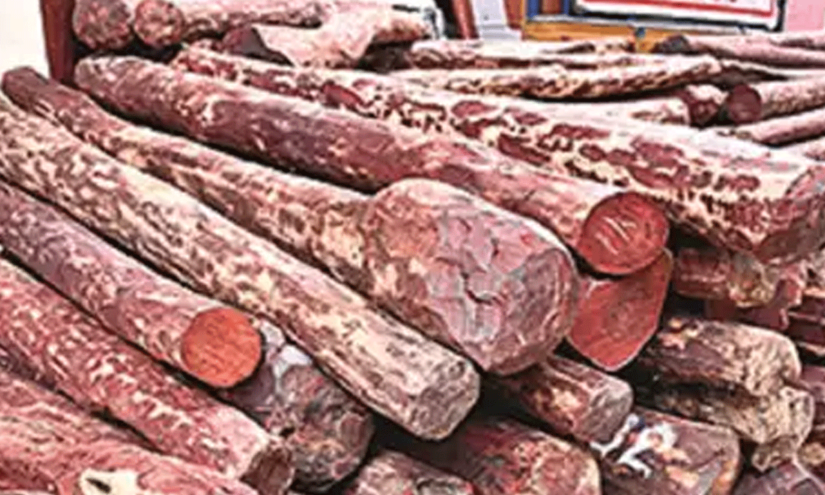 శ్రీకాకుళం జిల్లాలో భారీగా ఎర్రచందనం పట్టివేత