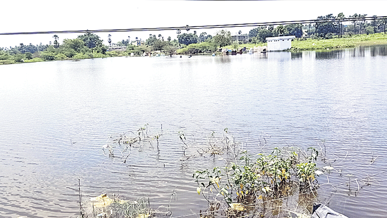 నిండుకుండలా చెరువులు