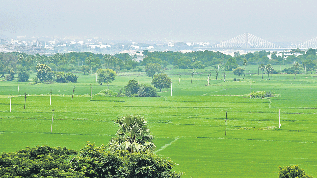 62 లక్షల ఎకరాలు దాటిన నాట్లు